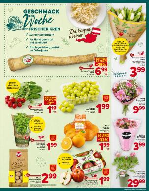 Titelbild des Prospekts von BILLA PLUS Burgenland