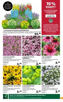 Titelbild des Prospekts von Dehner