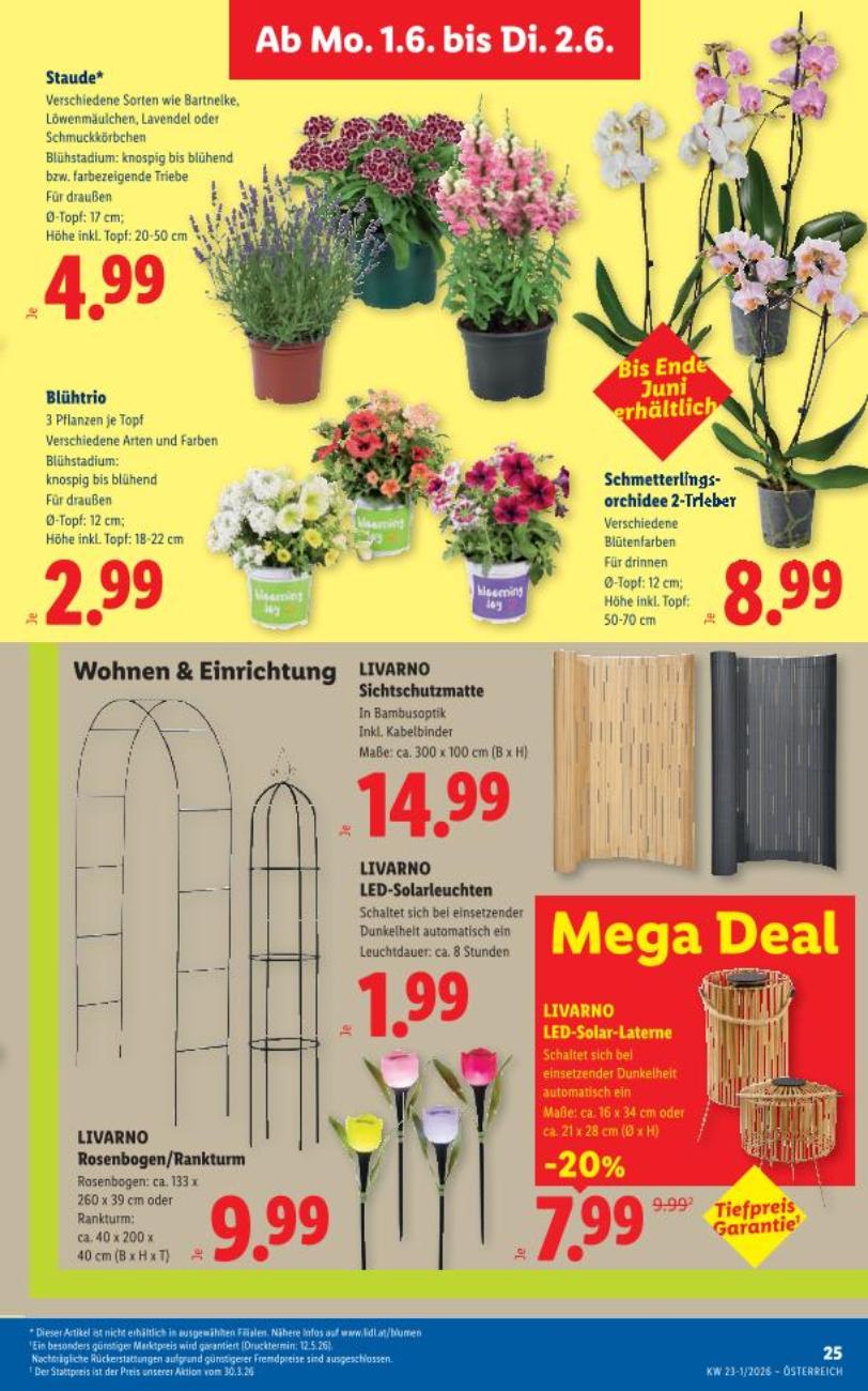 Livarno LED-Solarleuchten Leuchtdauer%3A ca. 8 Stunden Lidl 1 Stck