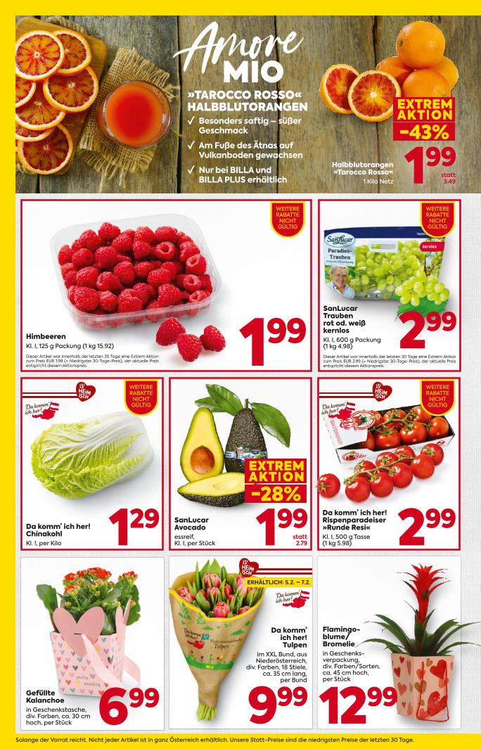 Prospekt von BILLA