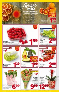 Titelbild des Prospekts von BILLA Niederösterreich