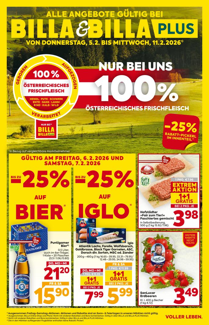 Prospekt von BILLA