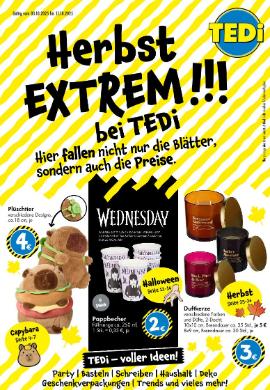 Titelbild des Prospekts von TEDi