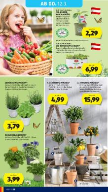 Titelbild des Prospekts von HOFER