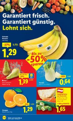 Titelbild des Prospekts von Lidl