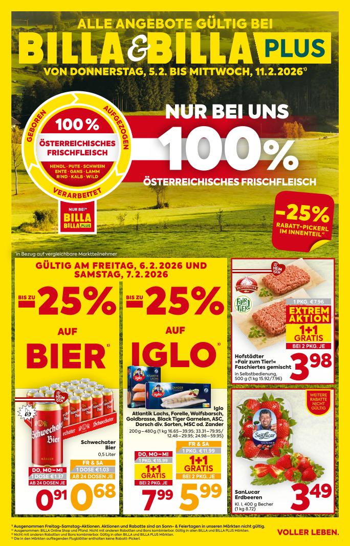 Prospekt von BILLA