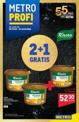 Titelbild des Prospekts von METRO PROFI