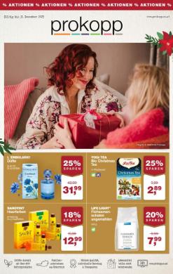 Titelbild des Prospekts von prokopp