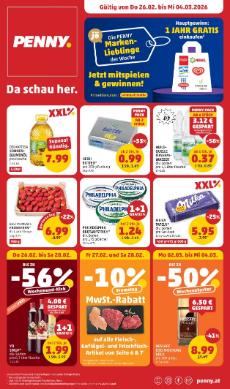 Titelbild des Prospekts von Penny