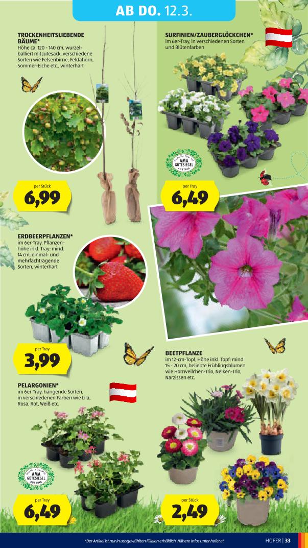 Prospekt von HOFER
