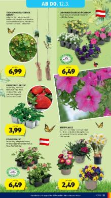 Titelbild des Prospekts von HOFER