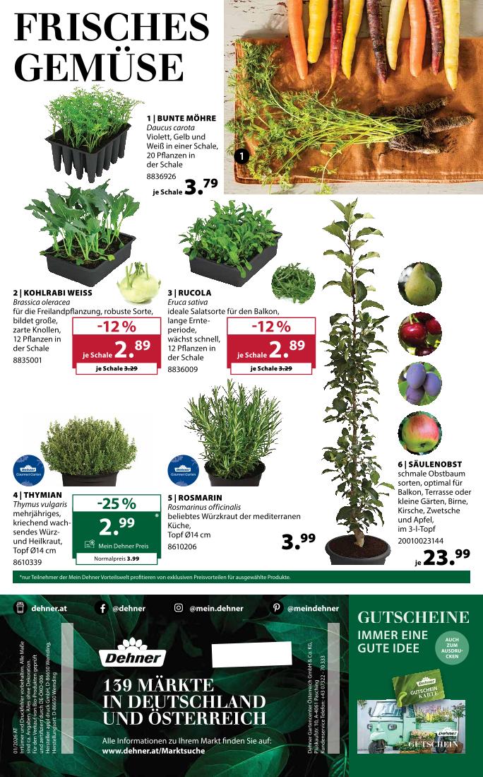 Prospekt von Dehner