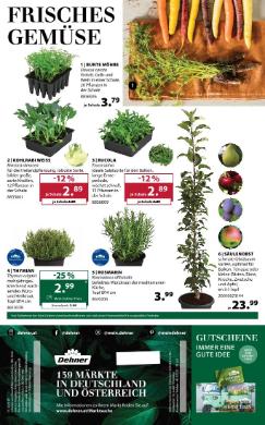 Titelbild des Prospekts von Dehner