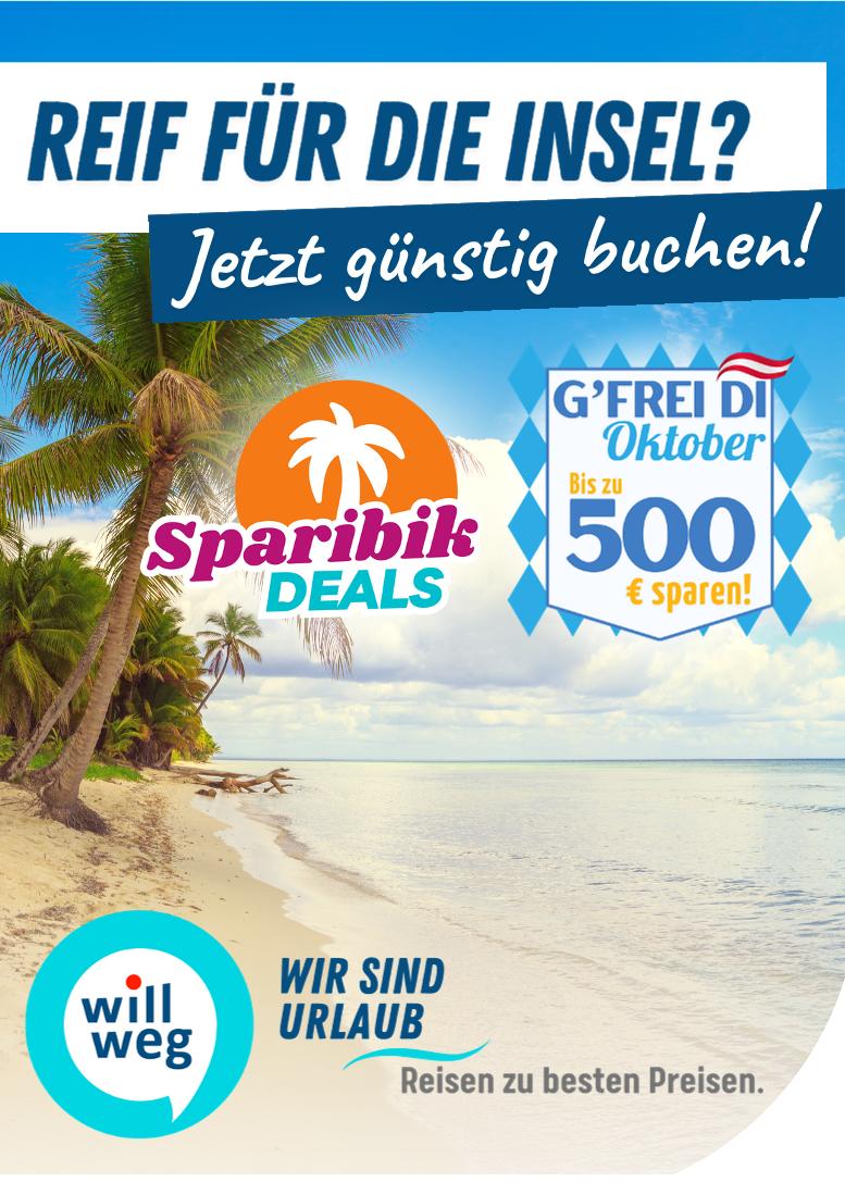 Prospekt von willweg.at