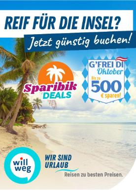 Titelbild des Prospekts von willweg.at Aktionen