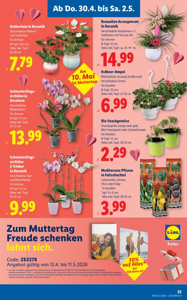 Prospekt von Lidl
