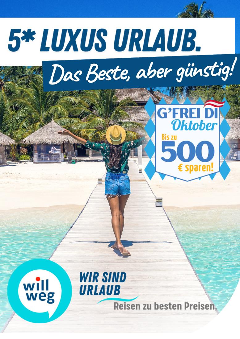 Prospekt von willweg.at