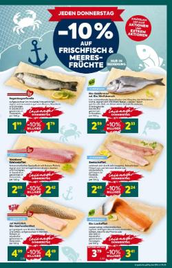 Titelbild des Prospekts von BILLA PLUS Niederösterreich