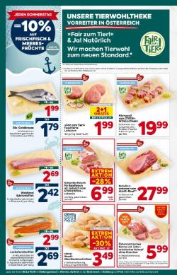 Titelbild des Prospekts von BILLA PLUS Salzburg