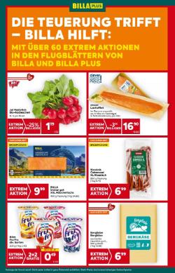 Titelbild des Prospekts von BILLA PLUS Wien