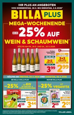 Titelbild des Prospekts von BILLA PLUS Salzburg