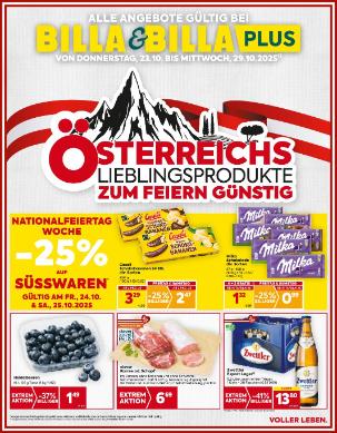 Titelbild des Prospekts von BILLA Wien