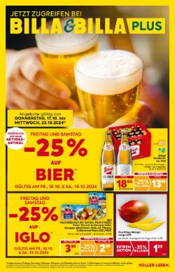 Titelbild des Prospekts von BILLA SBG