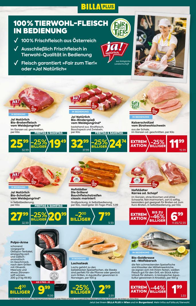 Prospekt von BILLA PLUS