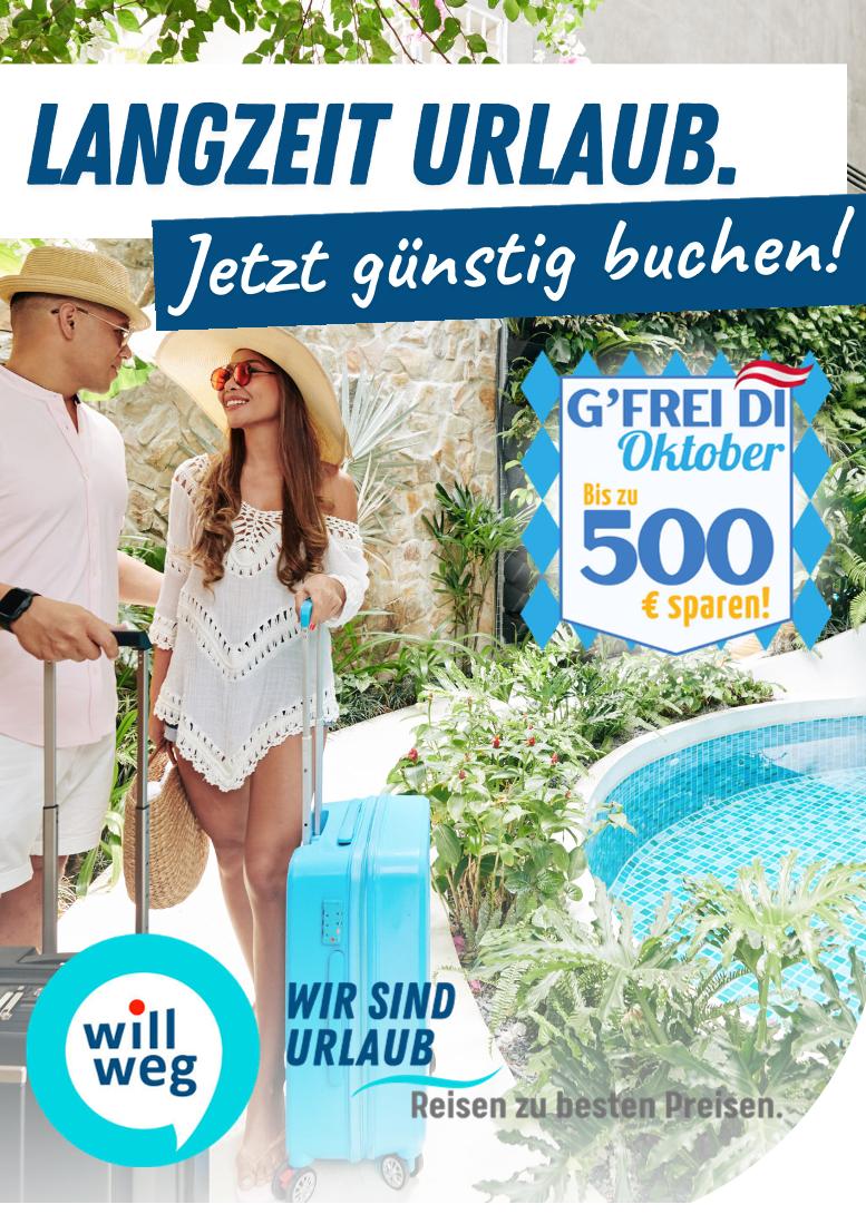 Prospekt von willweg.at