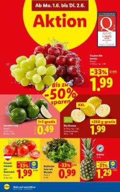 Titelbild des Prospekts von Lidl