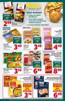 Titelbild des Prospekts von BILLA PLUS Wien