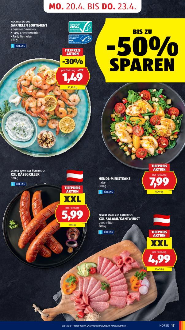 Prospekt von HOFER
