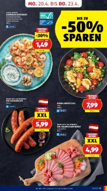 Titelbild des Prospekts von HOFER