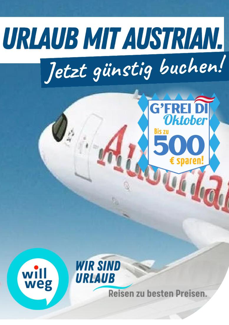Prospekt von willweg.at