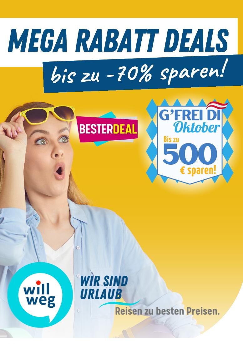 Prospekt von willweg.at