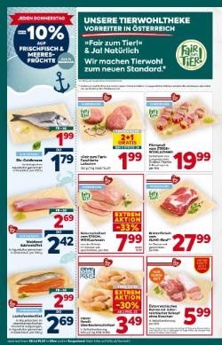 Titelbild des Prospekts von BILLA PLUS Wien