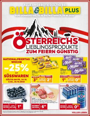 Titelbild des Prospekts von BILLA Steiermark