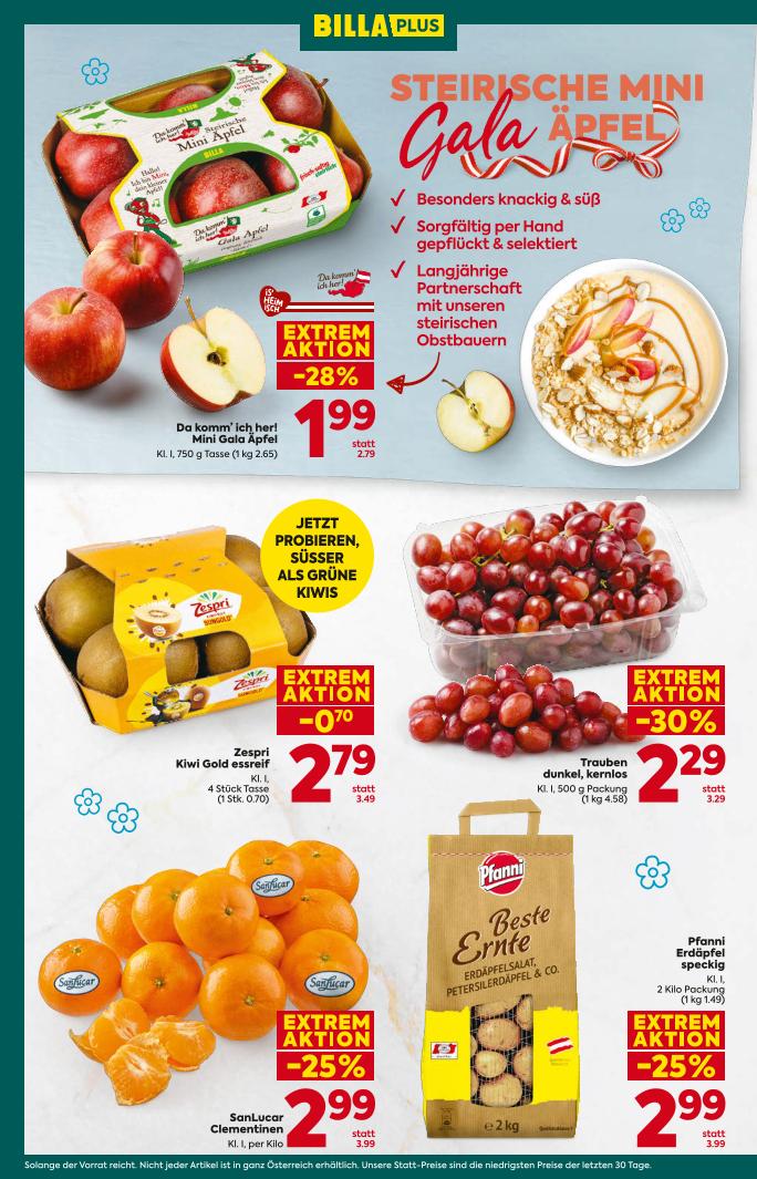 Prospekt von BILLA PLUS