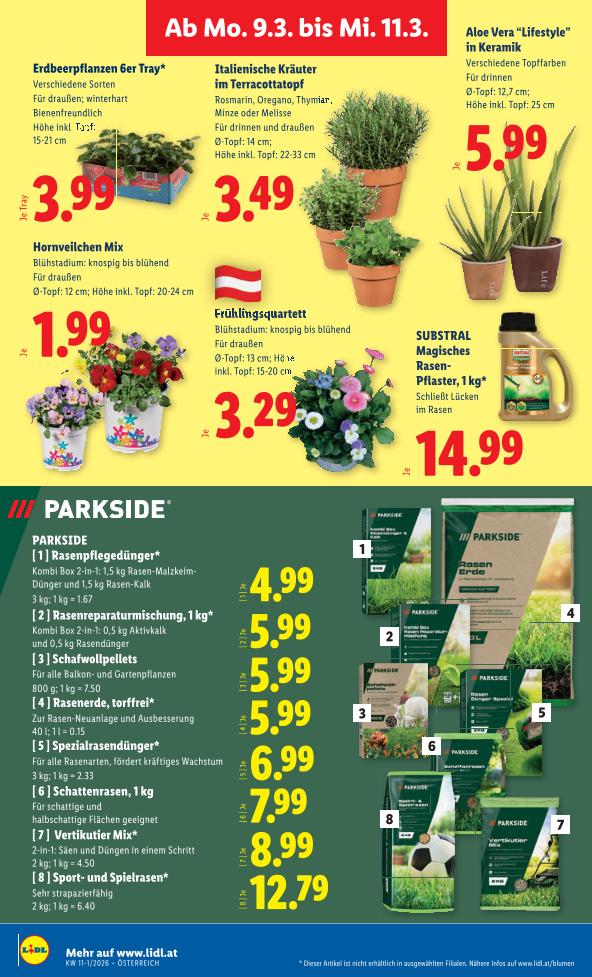 Prospekt von Lidl