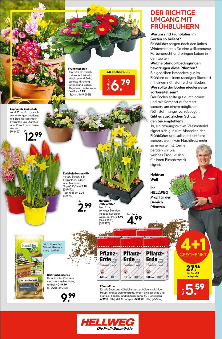 Prospekt von HELLWEG