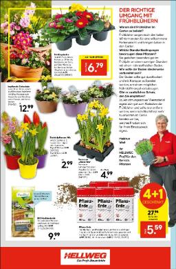 Titelbild des Prospekts von HELLWEG