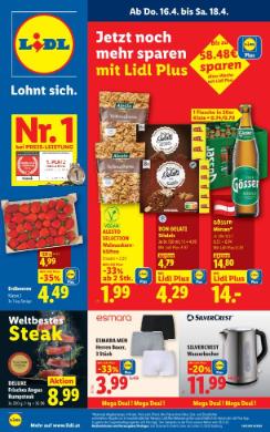 Titelbild des Prospekts von Lidl