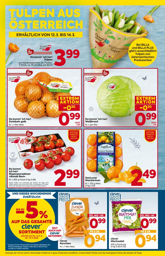Prospekt von BILLA