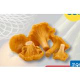 Promotion Bild von Eierschwammerl T&G 400 Gramm 1 Packung