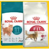 Royal Canin HEALTH NUTRITION, Trockennahrung für Katzen div. Sorten DAS FUTTERHAUS 2 Kilogramm 1 Packung