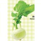 Spar Natur pur Bio-Kohlrabi Maximarkt 1 Stück