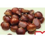 Edelkastanien lose Maximarkt 1 Kilogramm