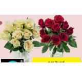 Rosen Fairtrade verschiedene Blütenfarben HOFER 10 Stück