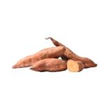 Bild von Spar Natur pur Bio-Süßkartoffel EUROSPAR 1 Kilogramm