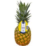 Promotion Bild von Metro Chef Ananas, Preisangabe ohne MwSt. (Preis inkl. MwSt. 2,96 €), METRO 1 Stück